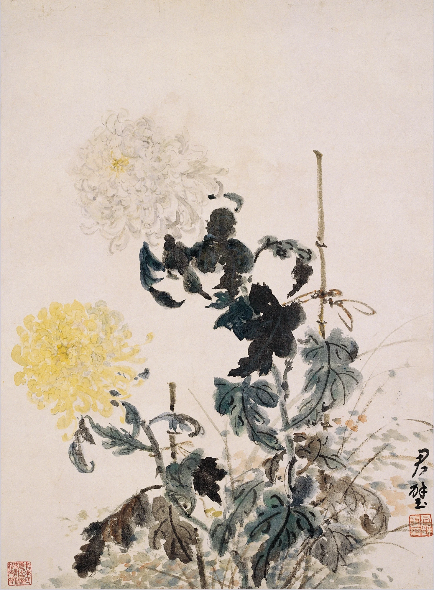 方君璧《菊花》