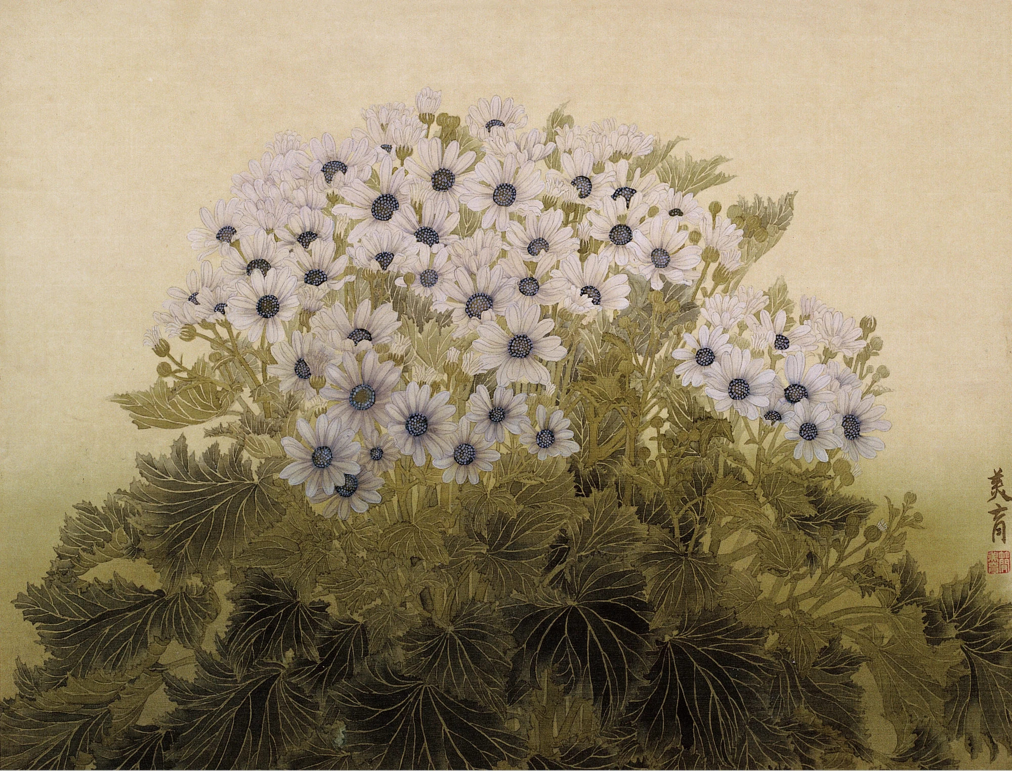 簡美育《白瓜葉菊》