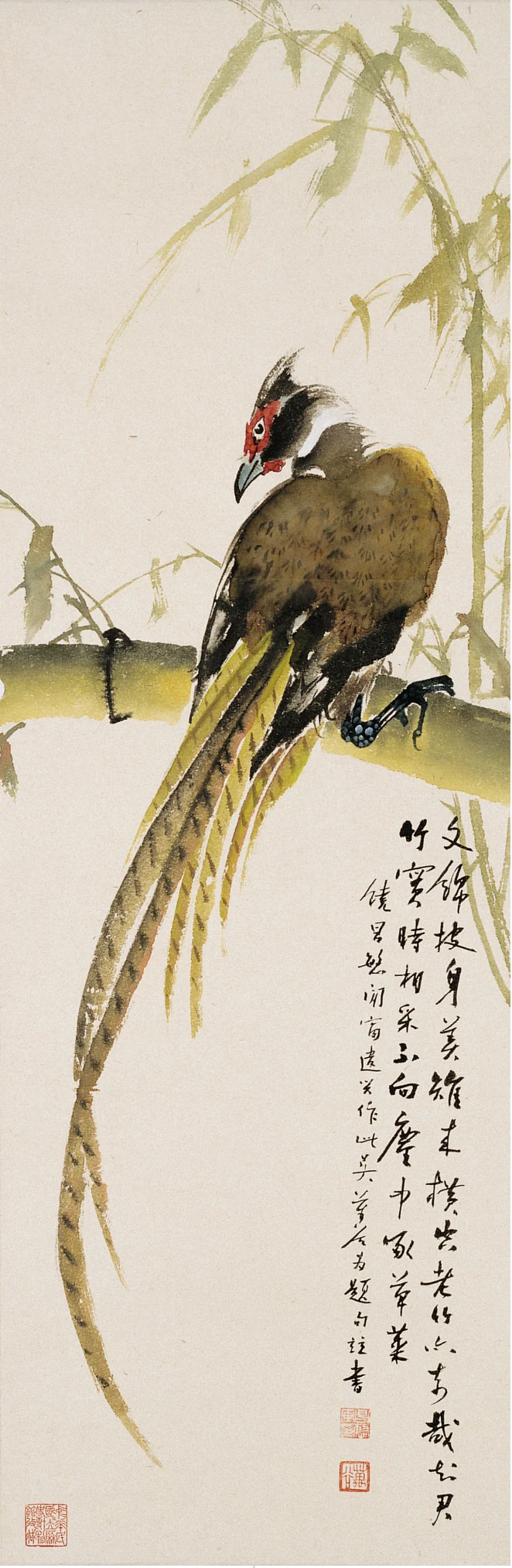 饒昌慜《雉鳥》