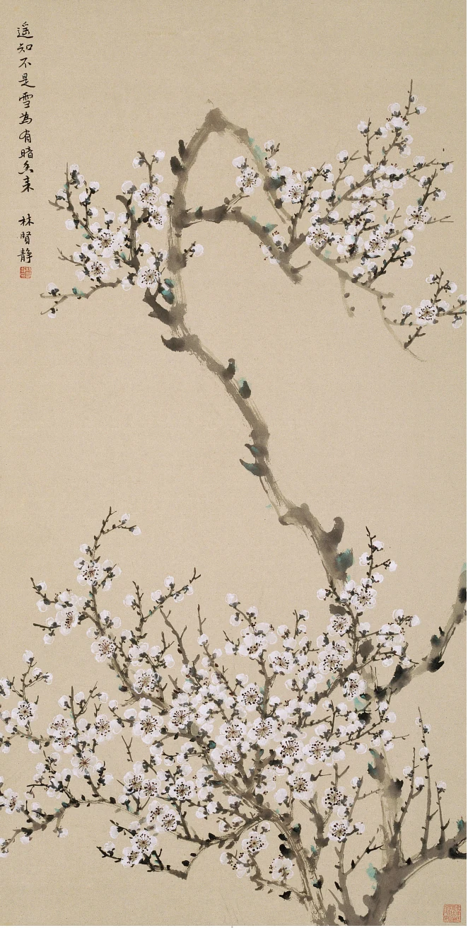 林賢靜《梅花》