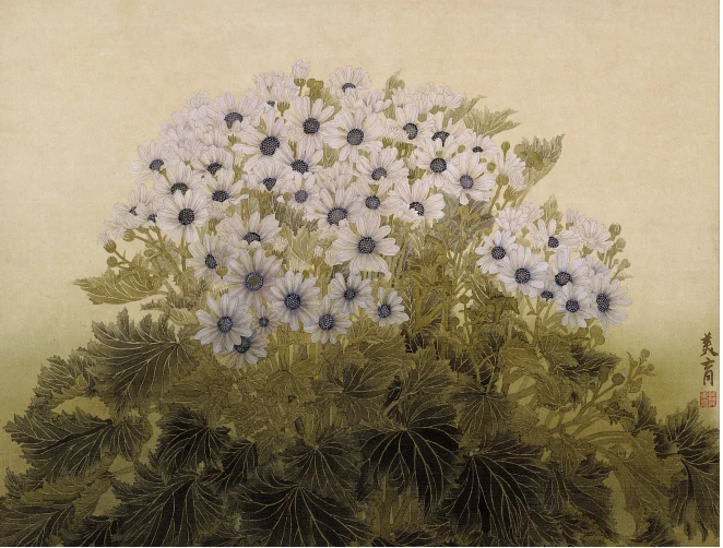 簡美育《白瓜葉菊》